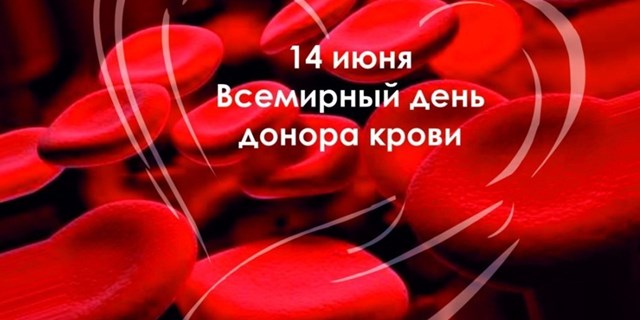 Акция безвозмездного донорства крови: «Река Жизни - 91» завершилась!